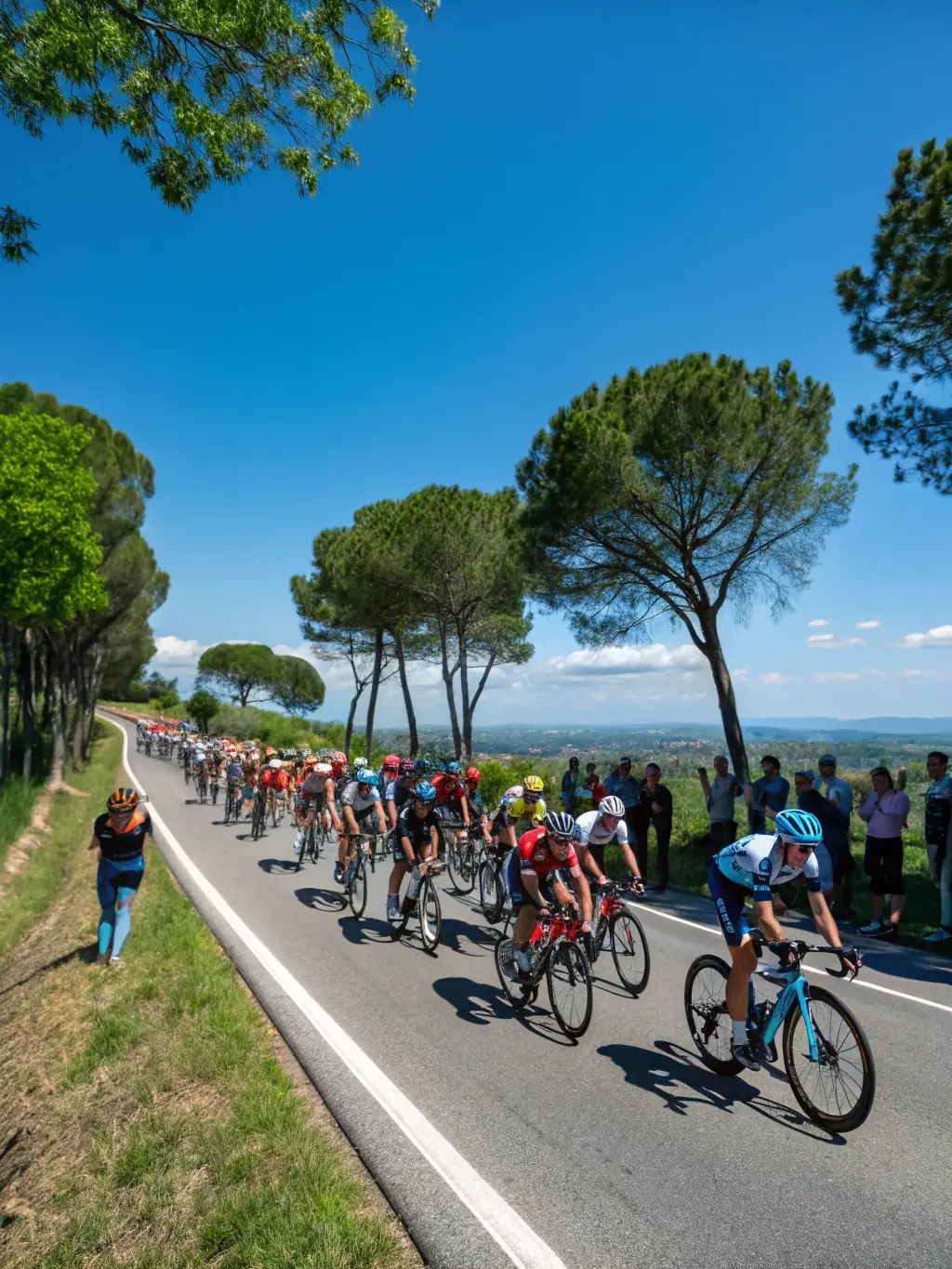 A vibrant image capturing the excitement of a cycling race organized by CRITERIUMS EXPERIENCE, showcasing cyclists in action and the enthusiastic crowd.